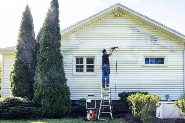 Best House Pressure Washing  in Westby, WI