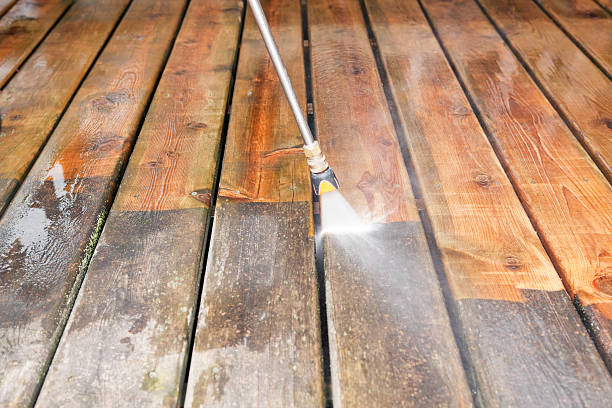 Best Affordable Pressure Washing  in Westby, WI
