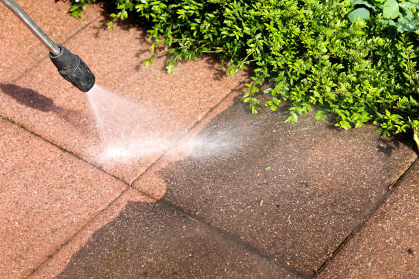 Best Deck Cleaning Services  in Westby, WI